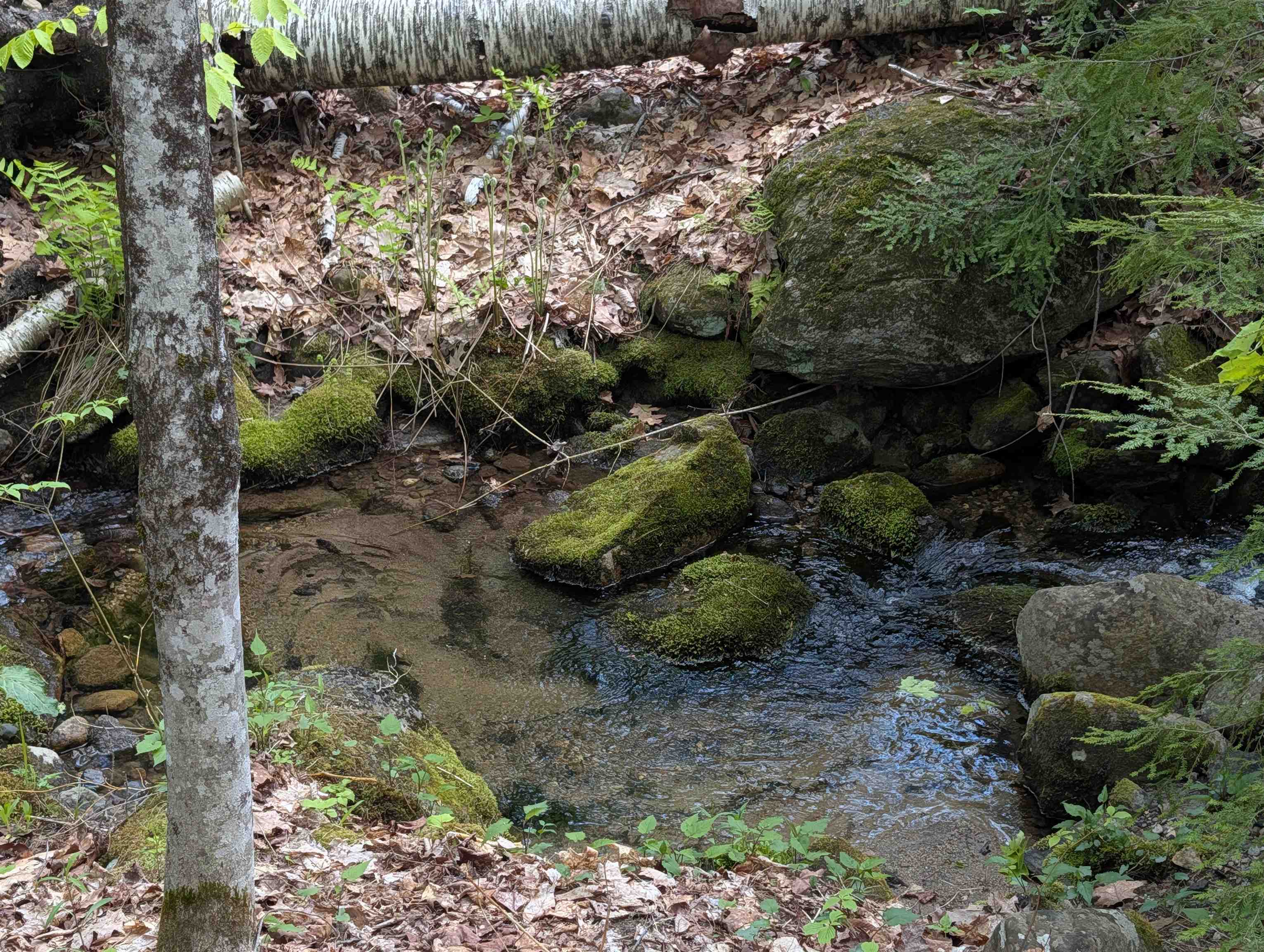 0 Peaked Hill Road Bristol, NH 03222 - Photo 27 of 33