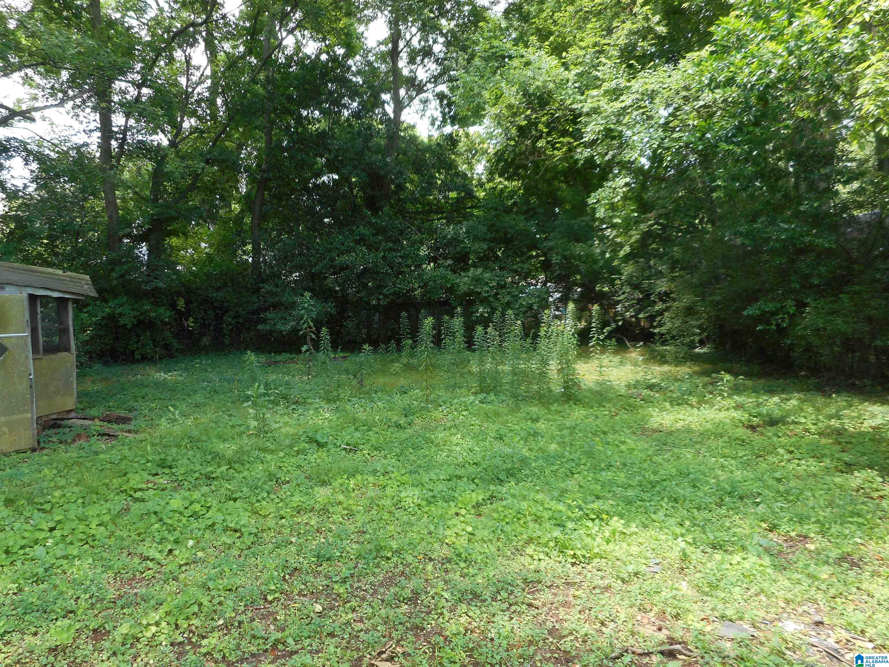 226 86th Place South Birmingham, AL 35206 - Photo 3 of 19
