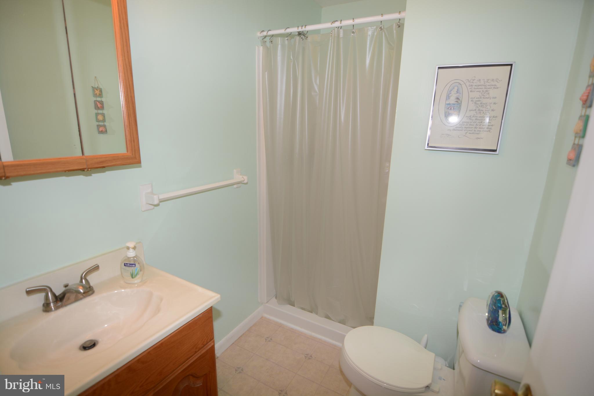486 Chestnut Road Severna Park, MD 21146 - Photo 16 of 30 Basement Full Bath