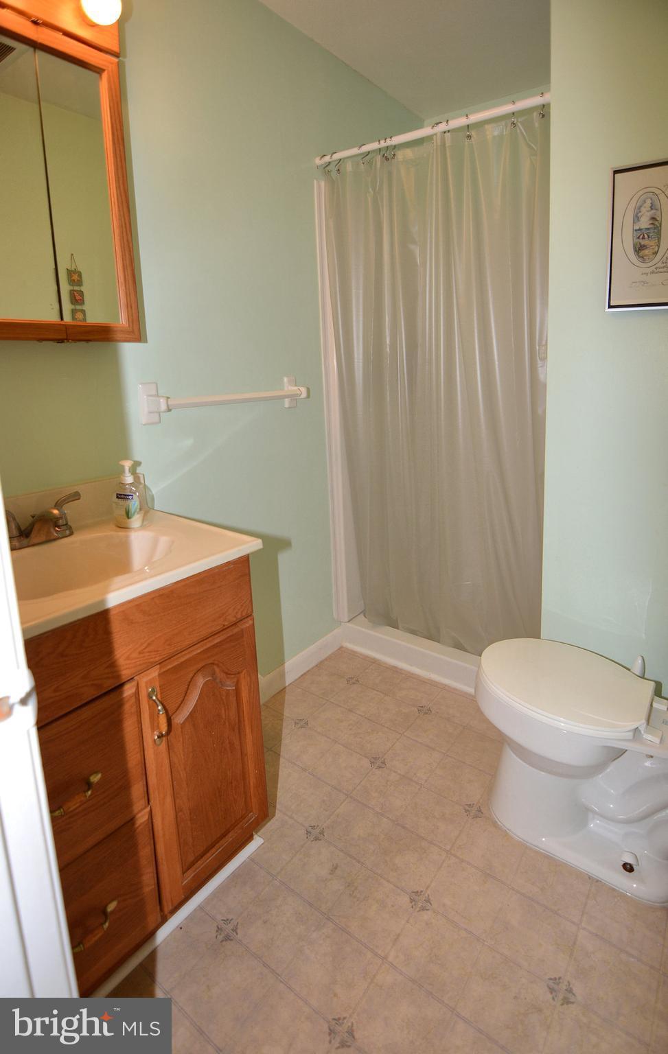 486 Chestnut Road Severna Park, MD 21146 - Photo 17 of 30 Basement Full Bath