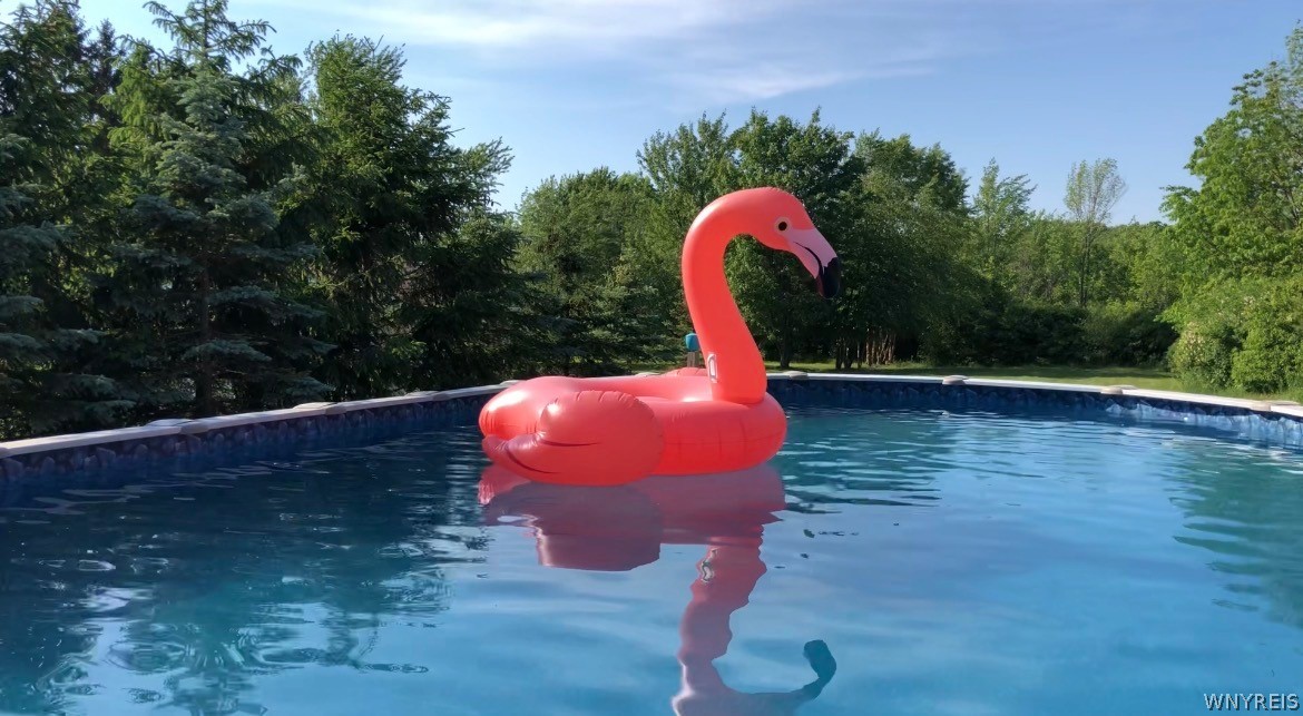 6606 Gartman Road Orchard Park, NY 14127 - Photo 44 of 50 Get ready for Summer Stay-cations!