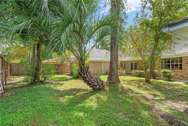 a view of a backyard with a large tree