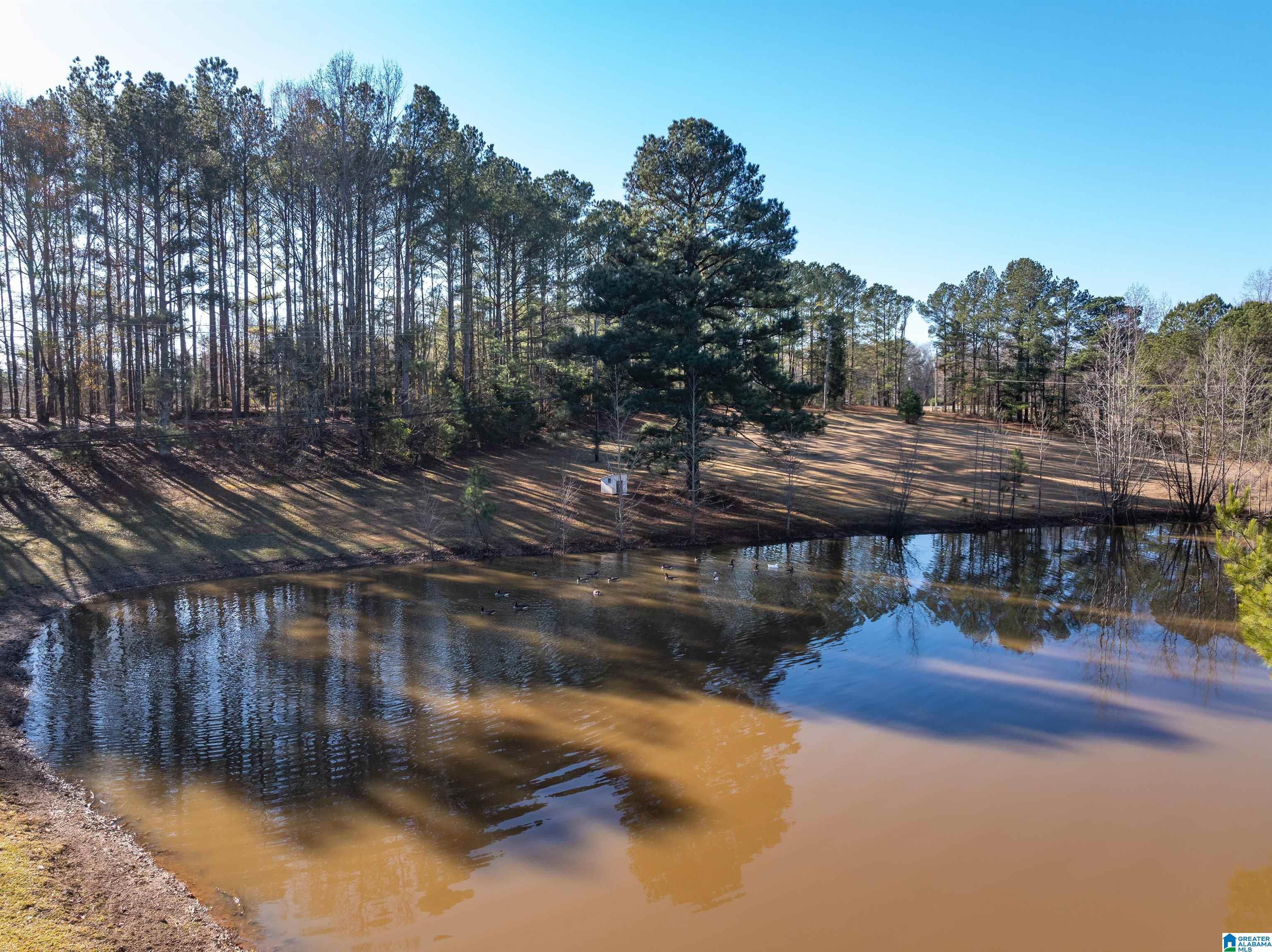 3342 County Road 39 Chelsea, AL 35043 - Photo 59 of 63