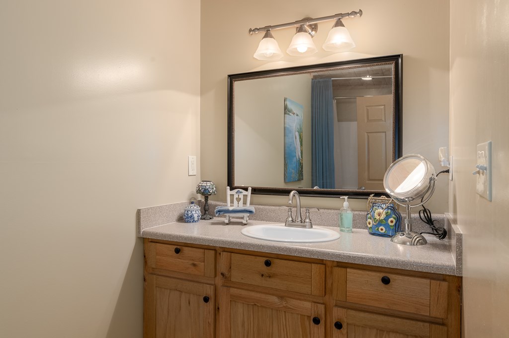 337 Branch Creek Road Blue Ridge, GA 30513 - Photo 17 of 43