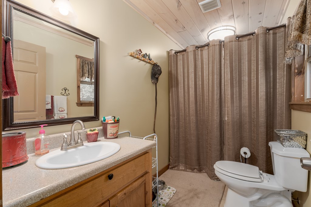 337 Branch Creek Road Blue Ridge, GA 30513 - Photo 20 of 43