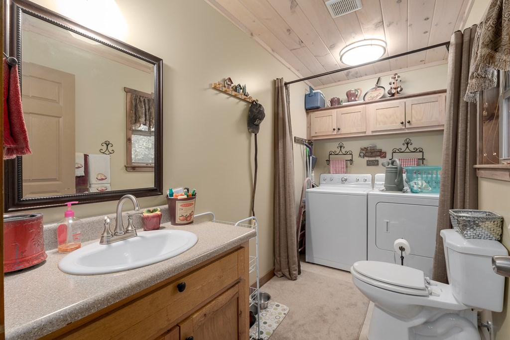 337 Branch Creek Road Blue Ridge, GA 30513 - Photo 21 of 43