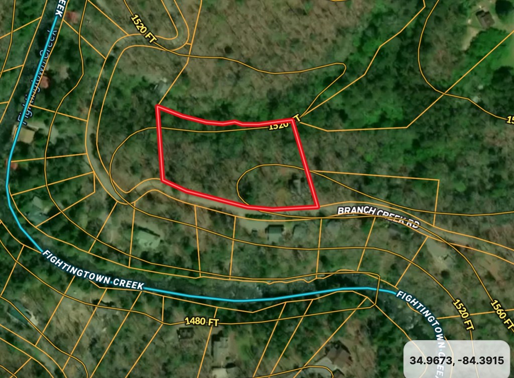 337 Branch Creek Road Blue Ridge, GA 30513 - Photo 38 of 43