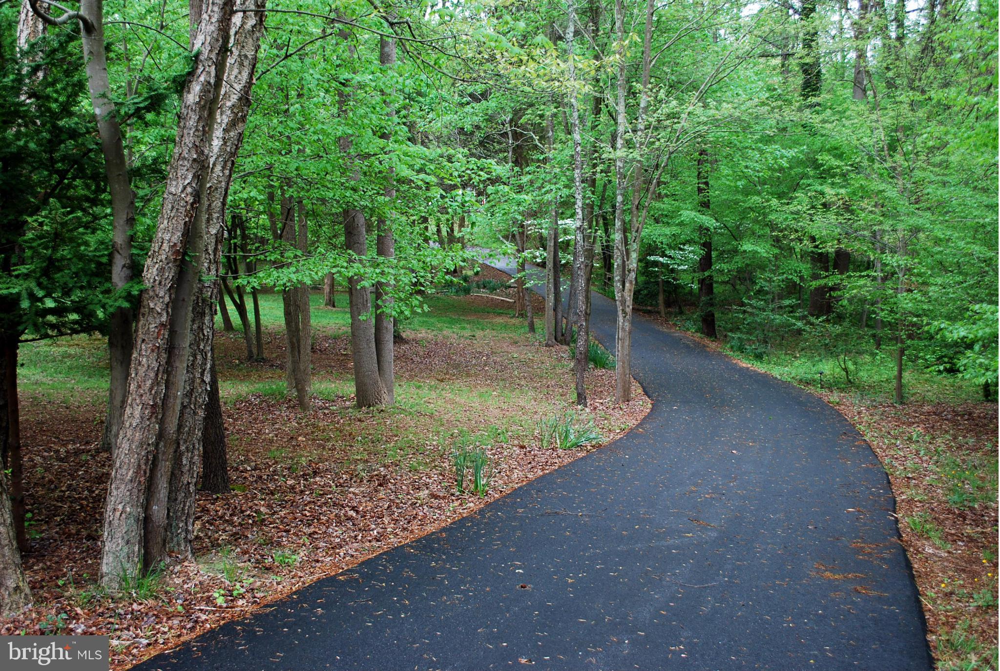 985 St George Barber Road Davidsonville, MD 21035 - Photo 28 of 30 secluded driveway to home