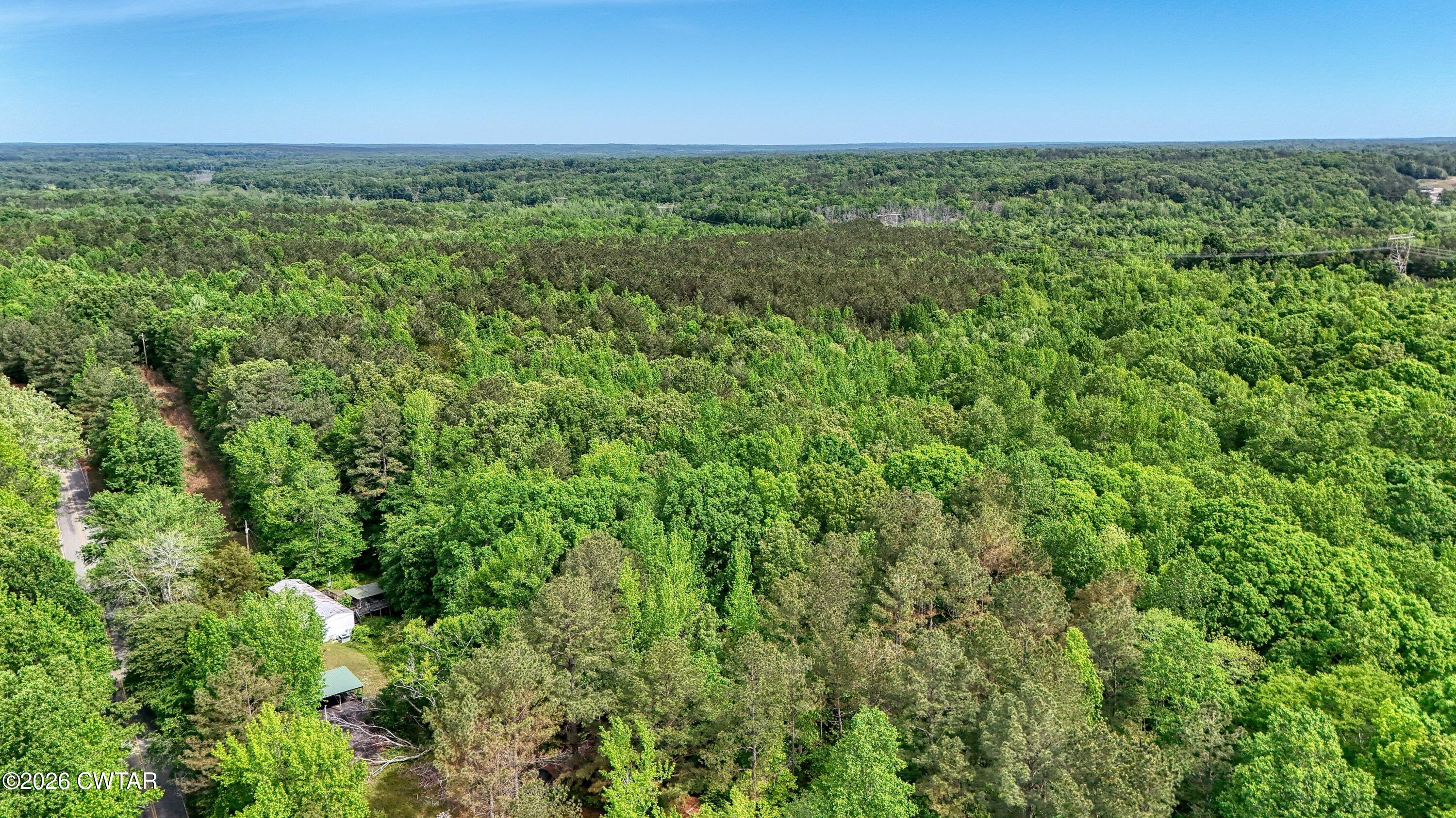 810 Sawyers Mill Road Bruceton, TN 38317 - Photo 8 of 14