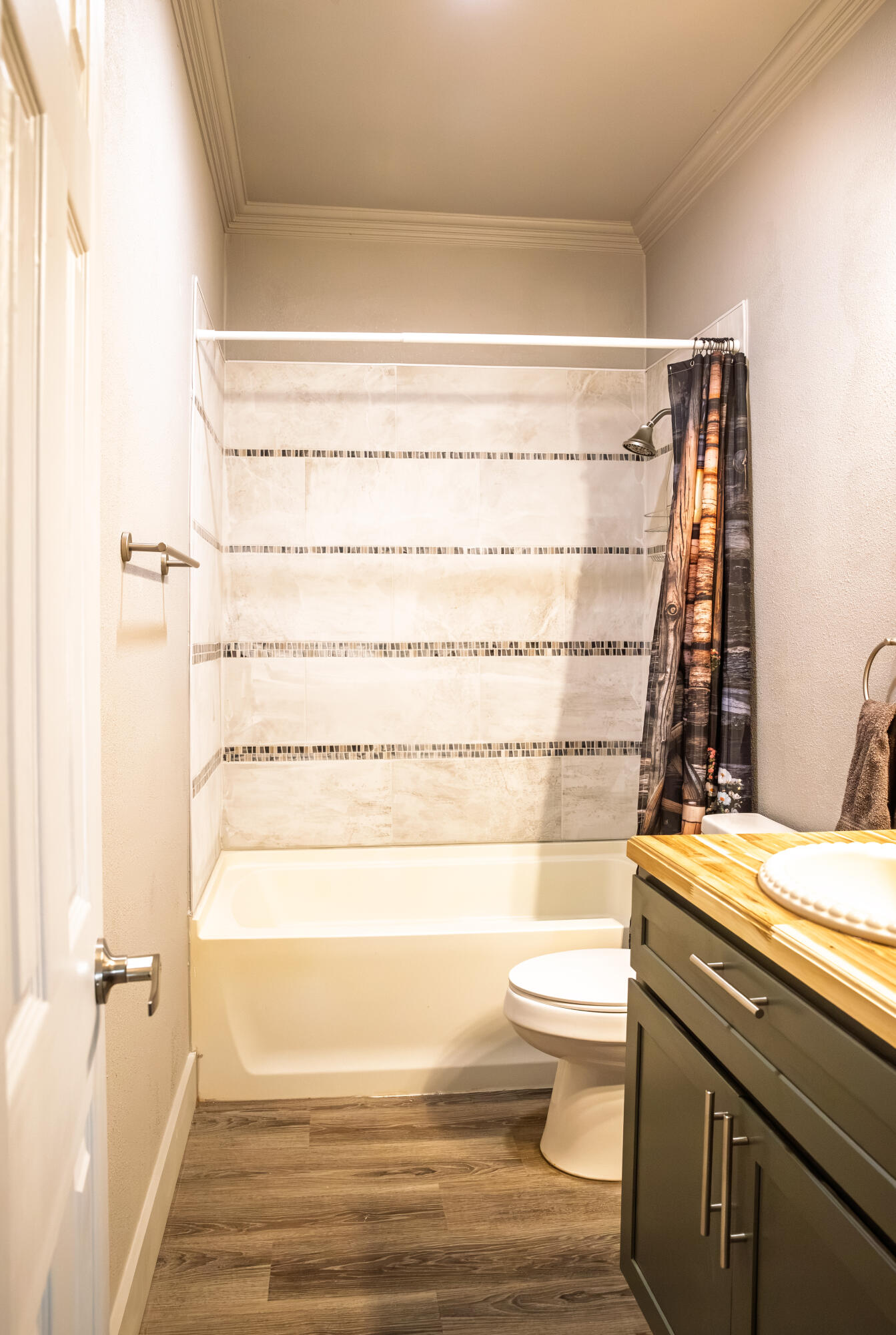 8233 County Road 6440 Lubbock, TX 79416 - Photo 15 of 25 guest bath