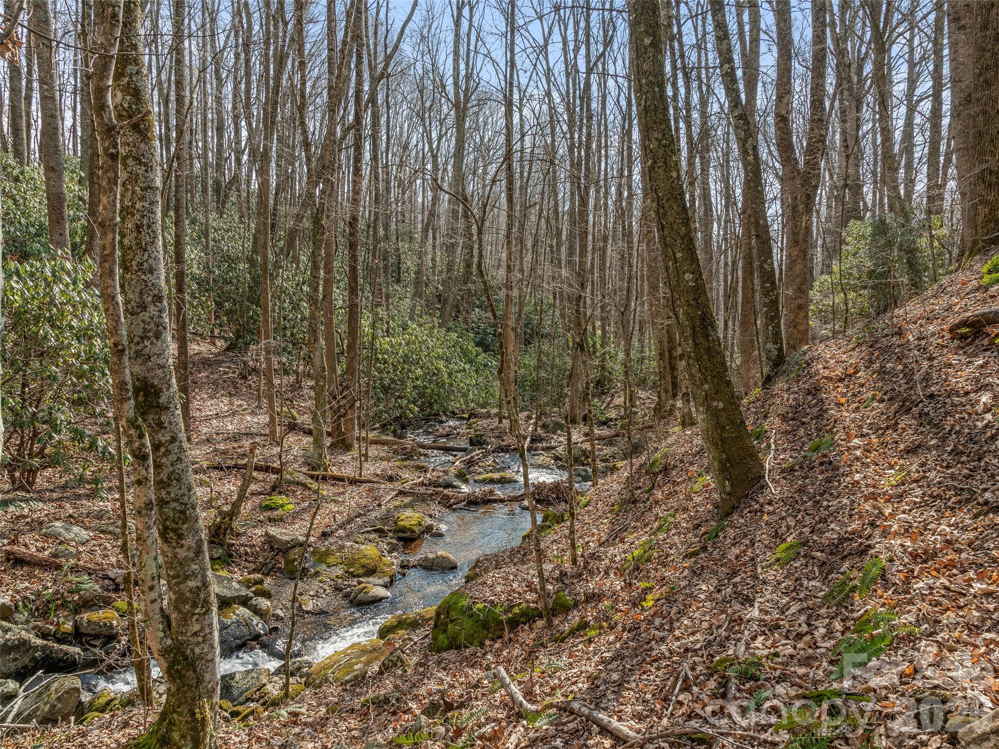 625 Cook Town Road Bakersville, NC 28705 - Photo 11 of 38