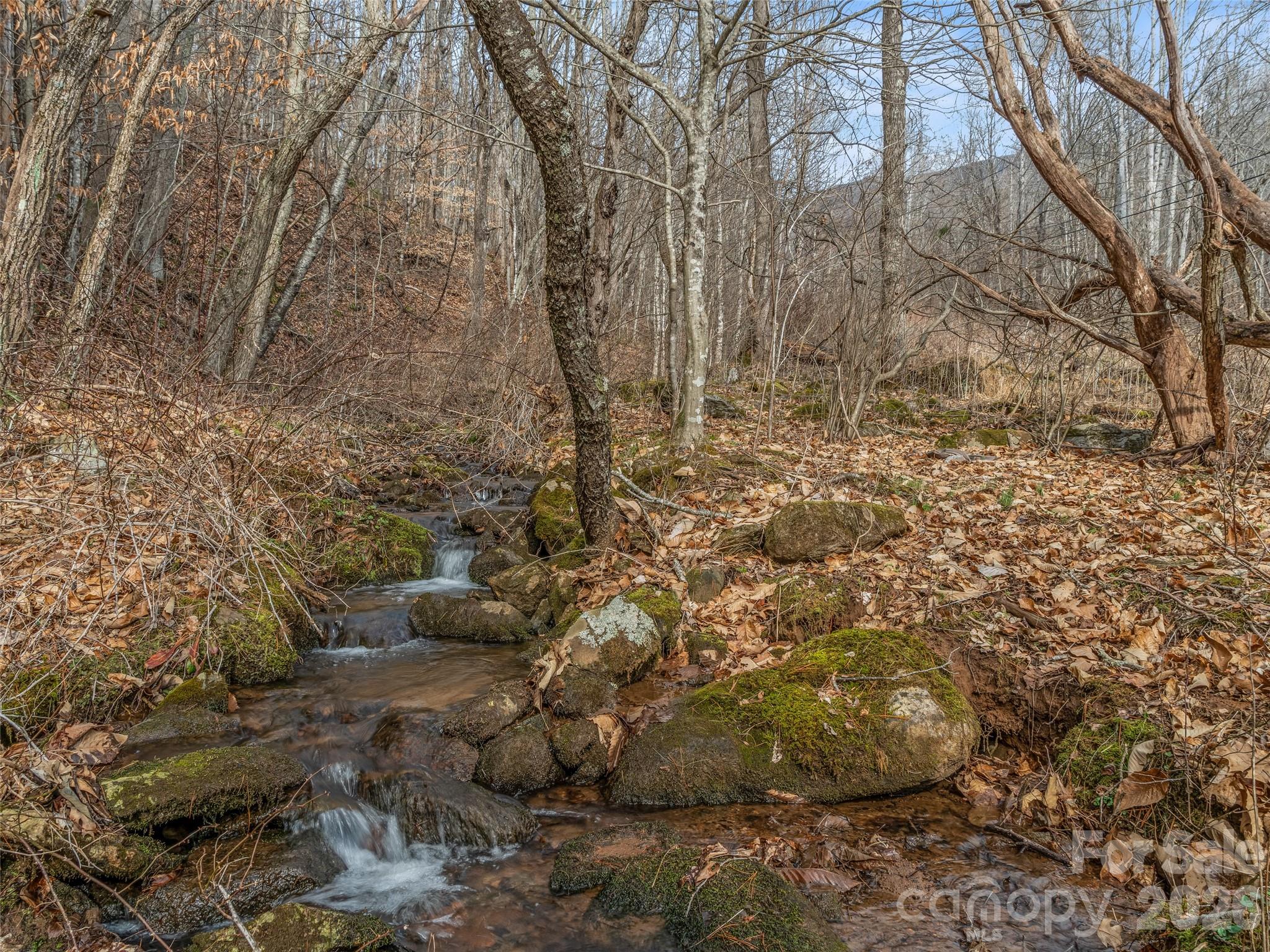 625 Cook Town Road Bakersville, NC 28705 - Photo 12 of 38