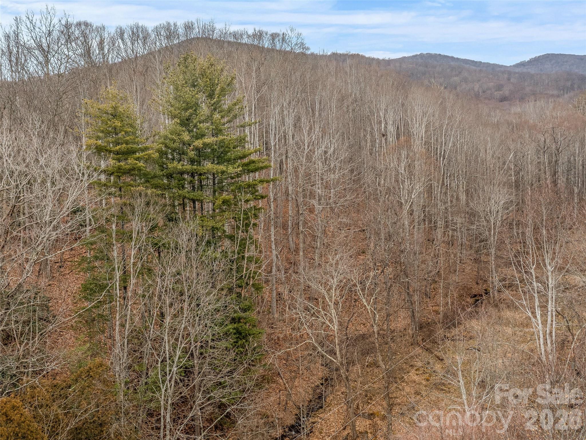 625 Cook Town Road Bakersville, NC 28705 - Photo 13 of 38