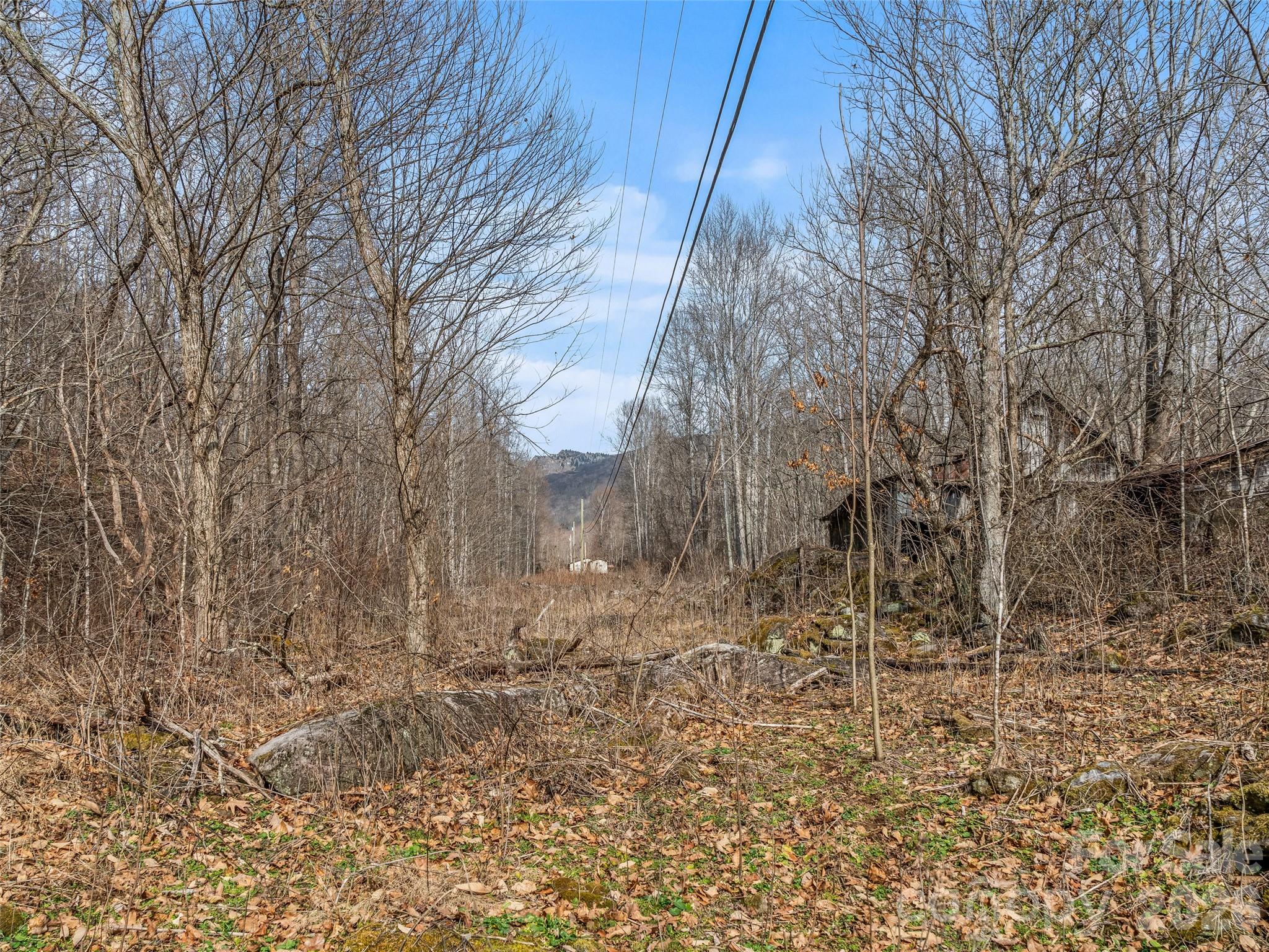 625 Cook Town Road Bakersville, NC 28705 - Photo 15 of 38