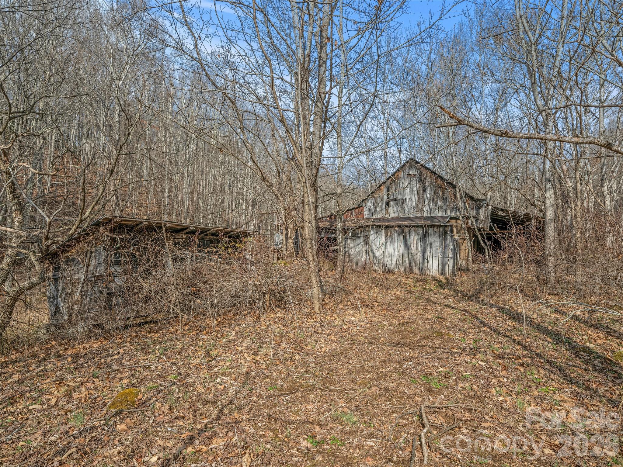 625 Cook Town Road Bakersville, NC 28705 - Photo 16 of 38