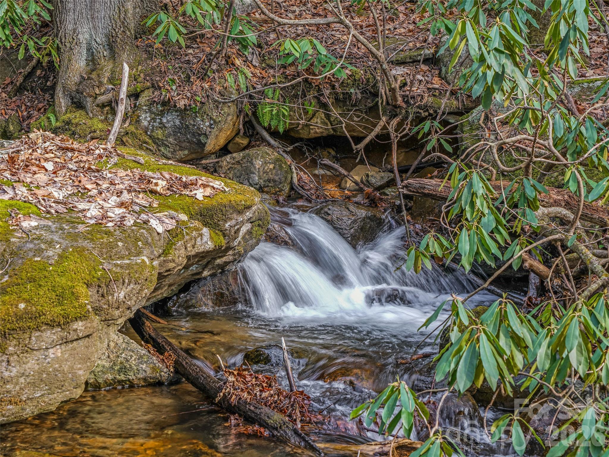 625 Cook Town Road Bakersville, NC 28705 - Photo 2 of 38