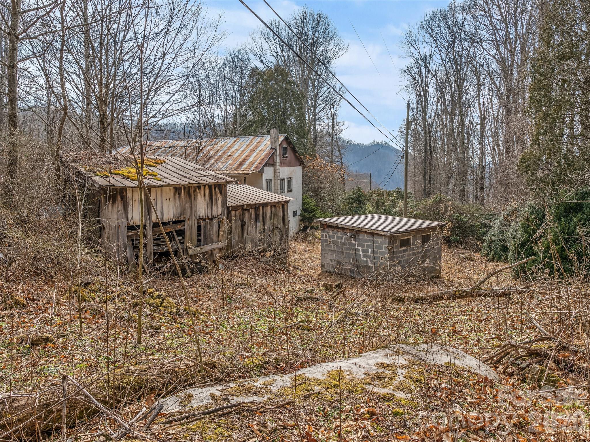 625 Cook Town Road Bakersville, NC 28705 - Photo 22 of 38