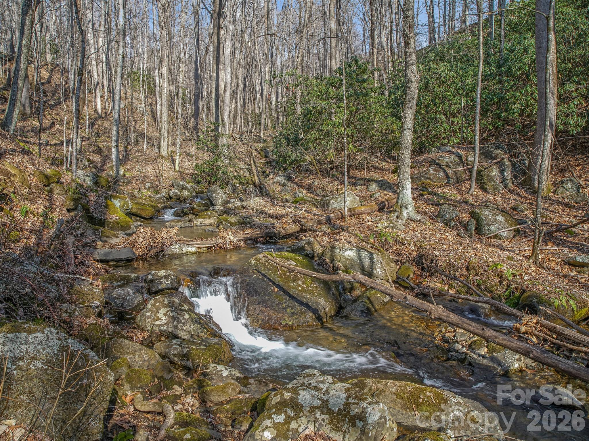 625 Cook Town Road Bakersville, NC 28705 - Photo 35 of 38