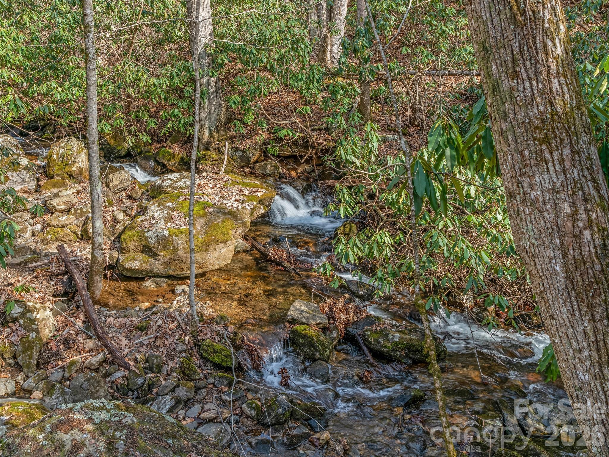 625 Cook Town Road Bakersville, NC 28705 - Photo 36 of 38