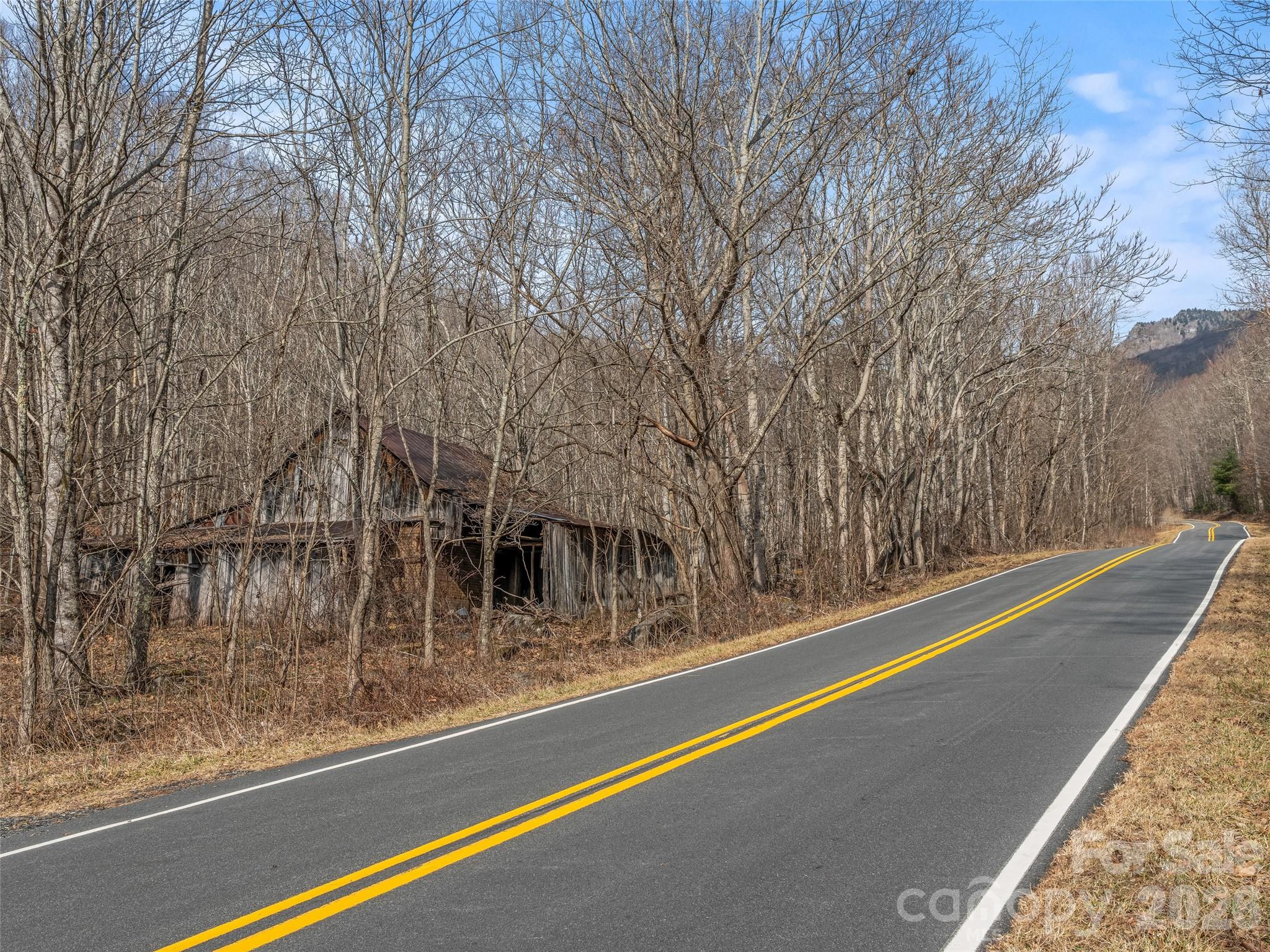 625 Cook Town Road Bakersville, NC 28705 - Photo 6 of 38