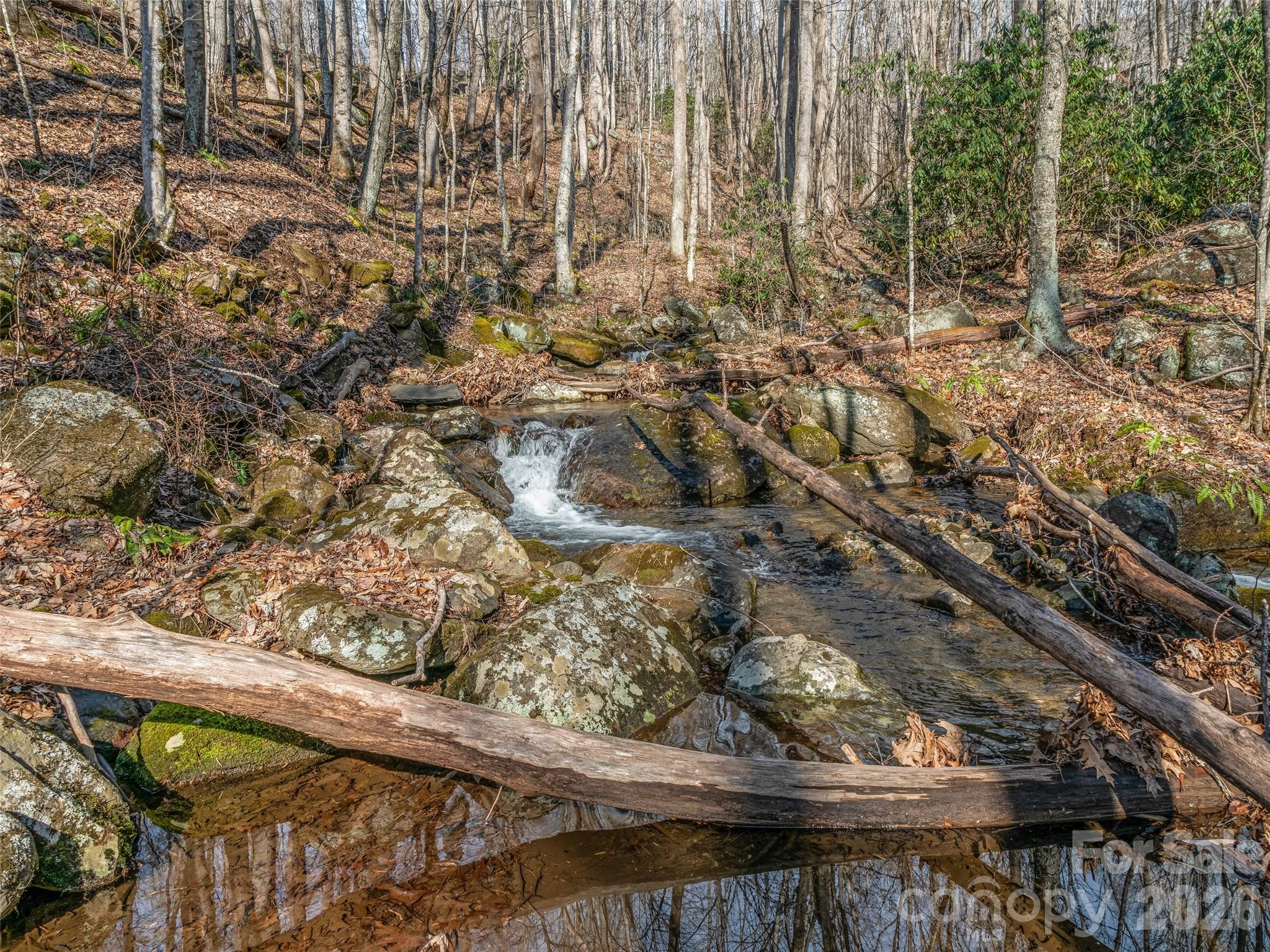 625 Cook Town Road Bakersville, NC 28705 - Photo 8 of 38