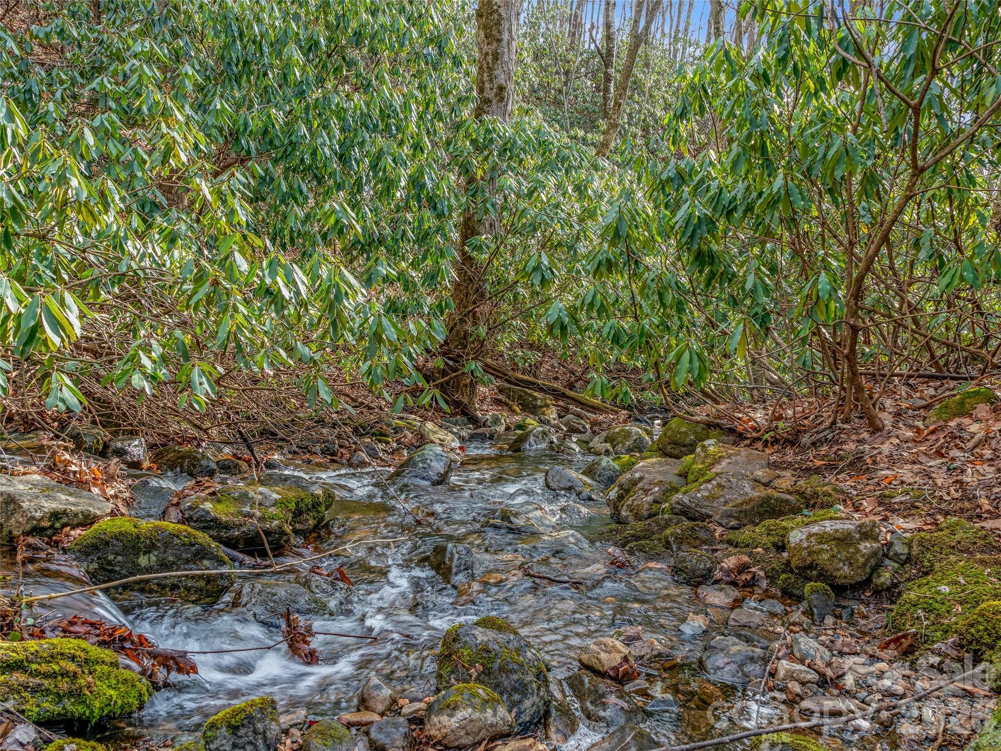 625 Cook Town Road Bakersville, NC 28705 - Photo 9 of 38