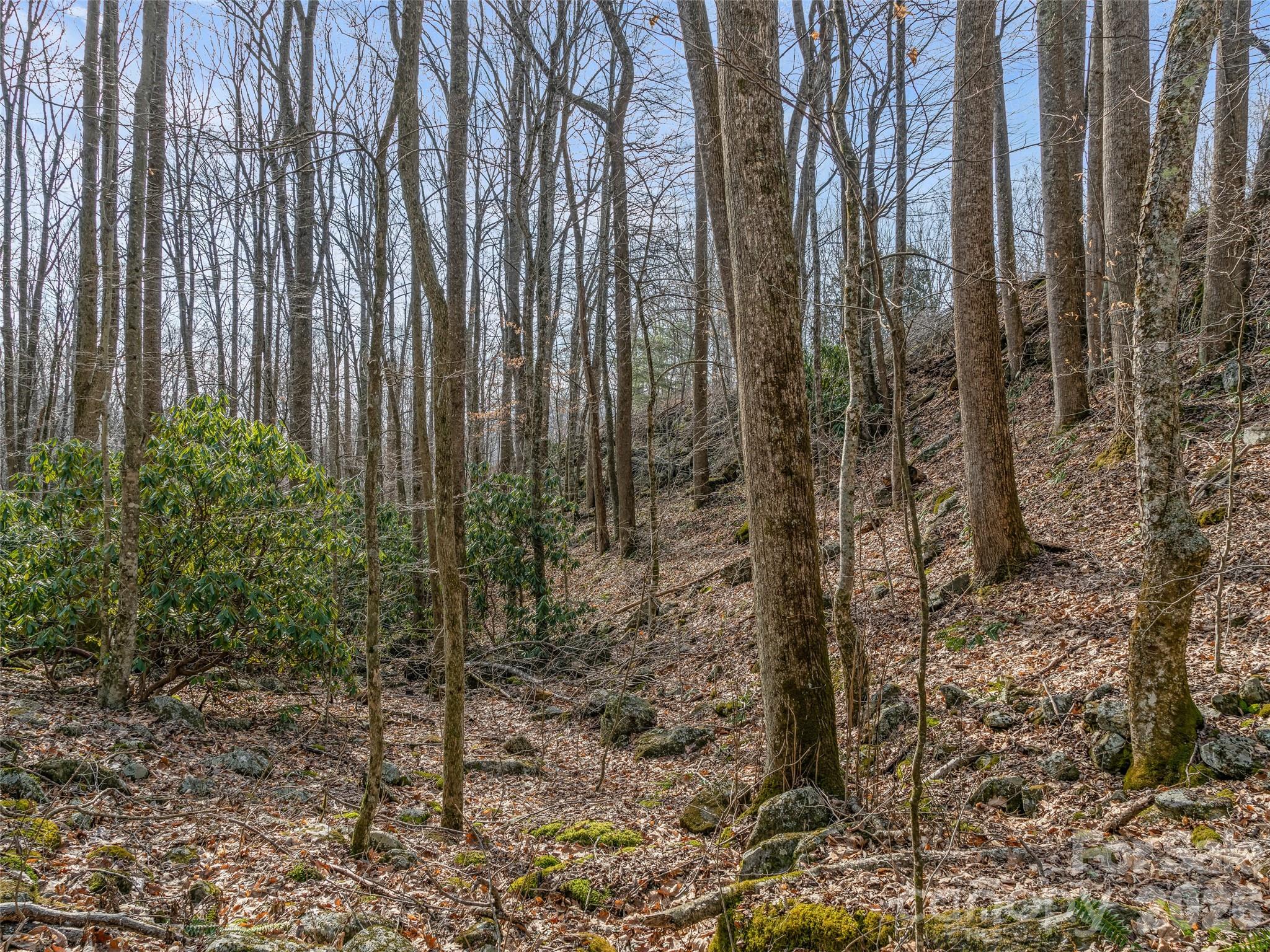 625 Cook Town Road Bakersville, NC 28705 - Photo 10 of 38