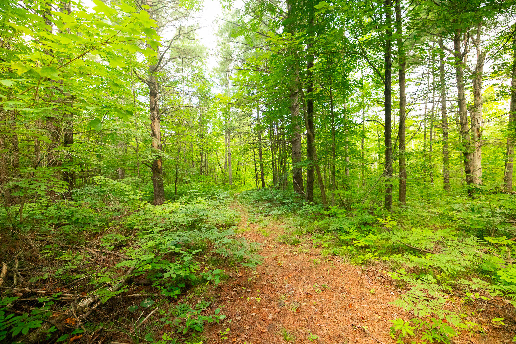PATH2