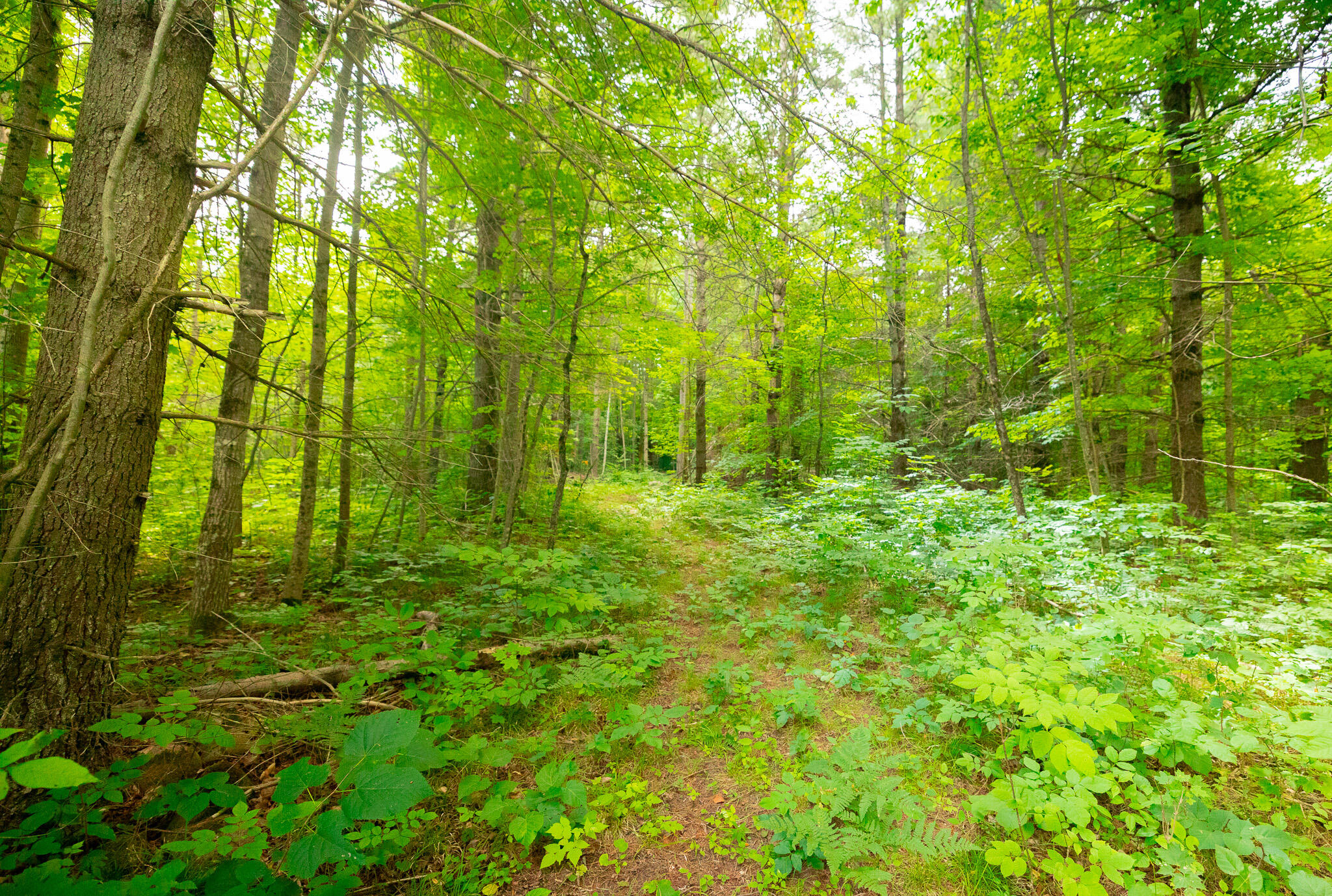 PATH3