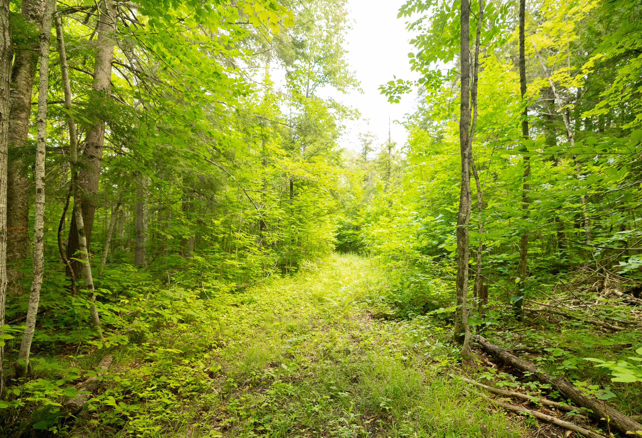 PATH5