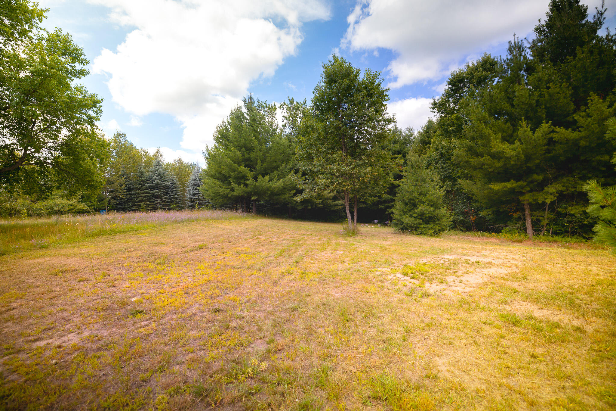 11028 Pickerel Lake Road Alanson, MI 49706 - Photo 8 of 19 PATH6