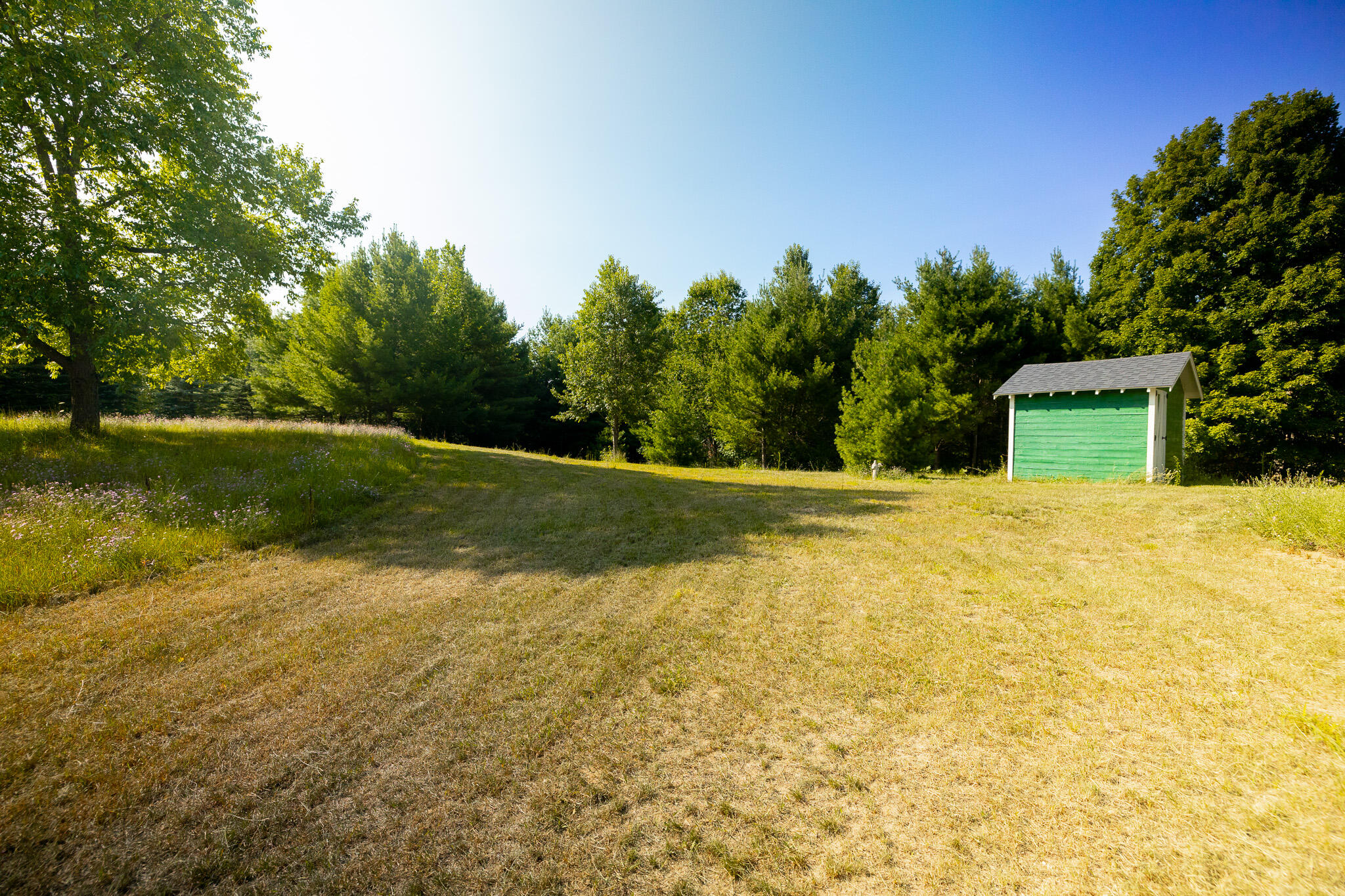 11028 Pickerel Lake Road Alanson, MI 49706 - Photo 9 of 19 CLEARED AREA