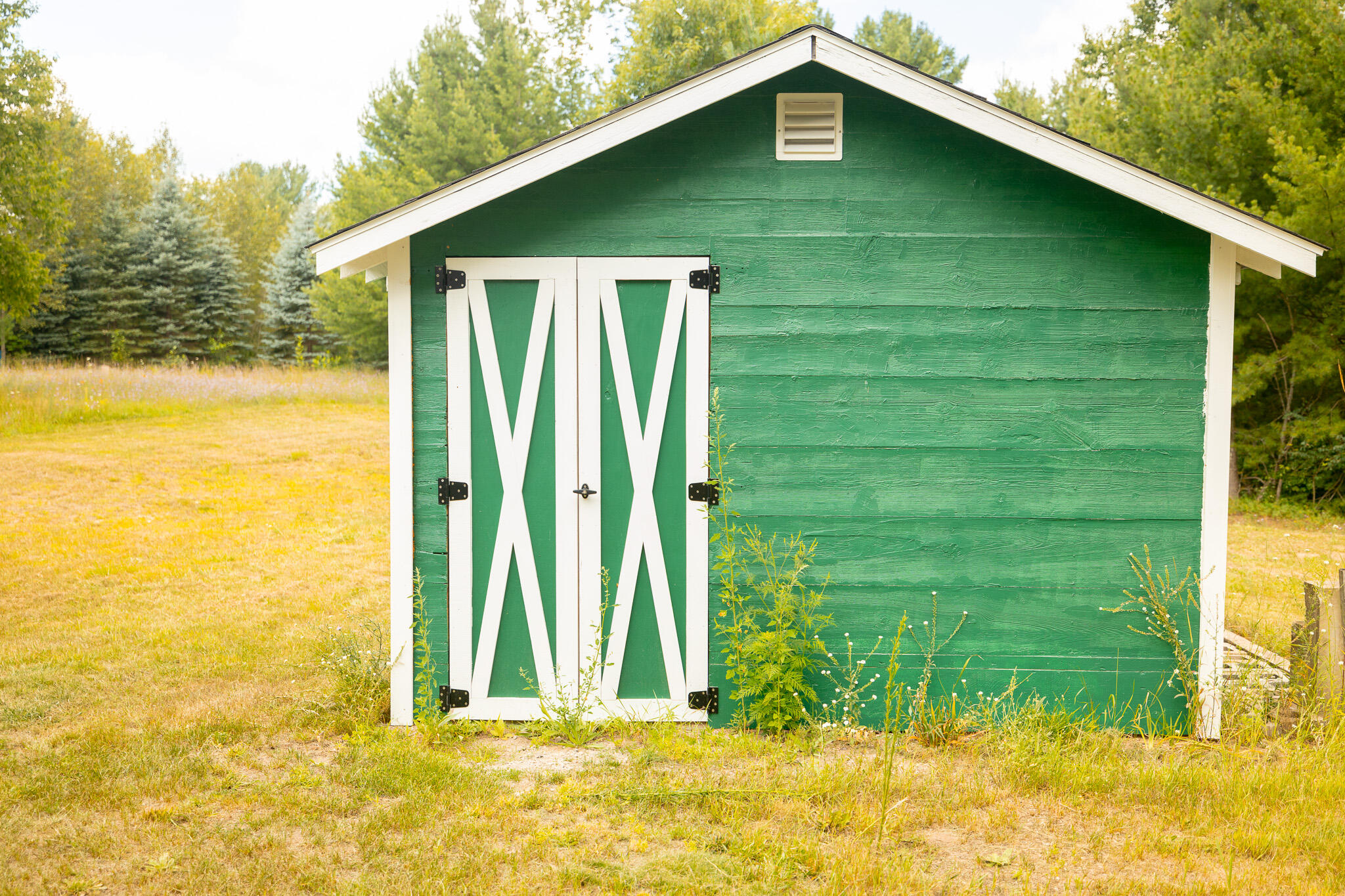 11028 Pickerel Lake Road Alanson, MI 49706 - Photo 10 of 19 SHED
