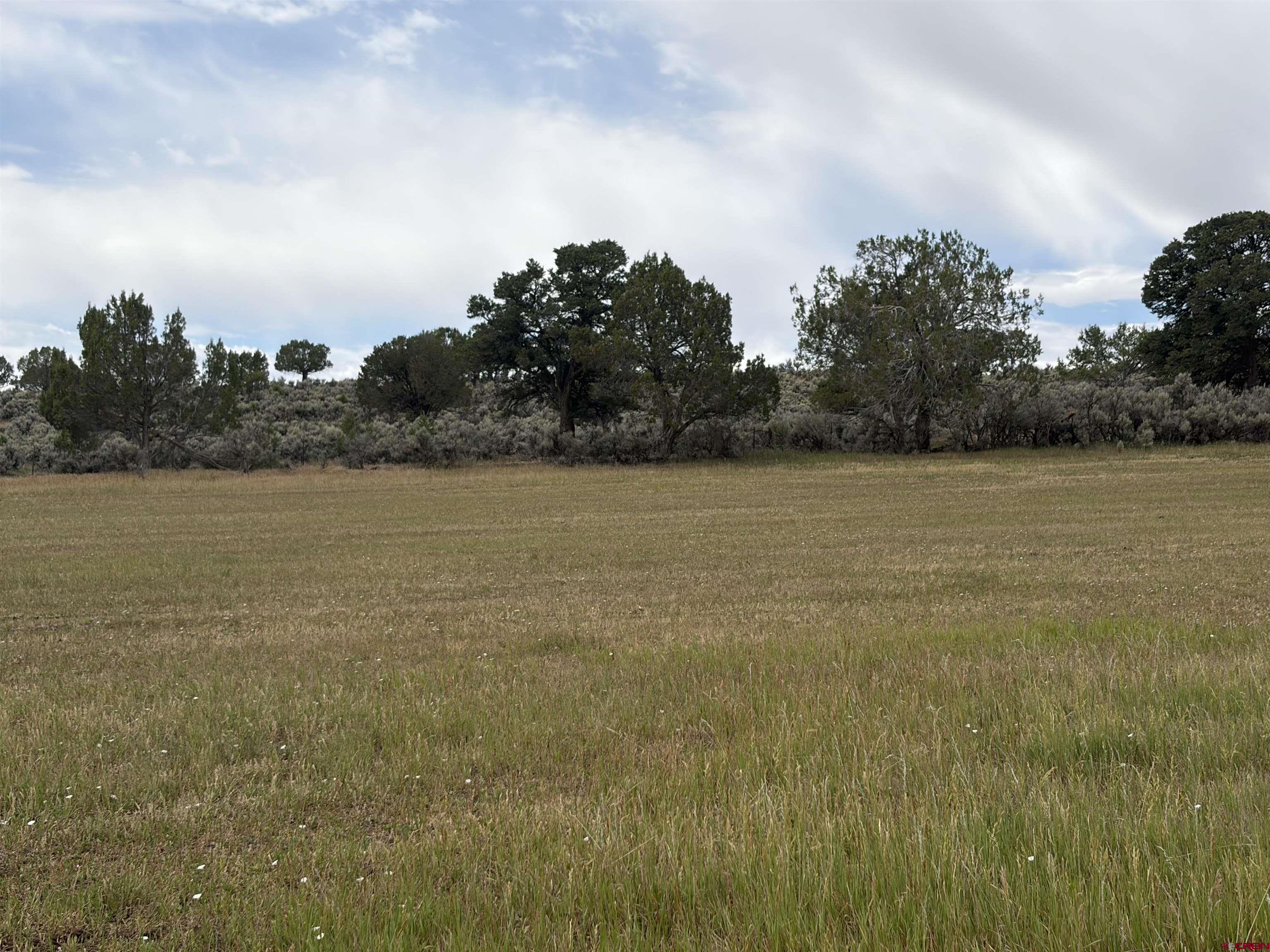 Tbd Cactus Park Road Cedaredge, CO 81413 - Photo 2 of 12