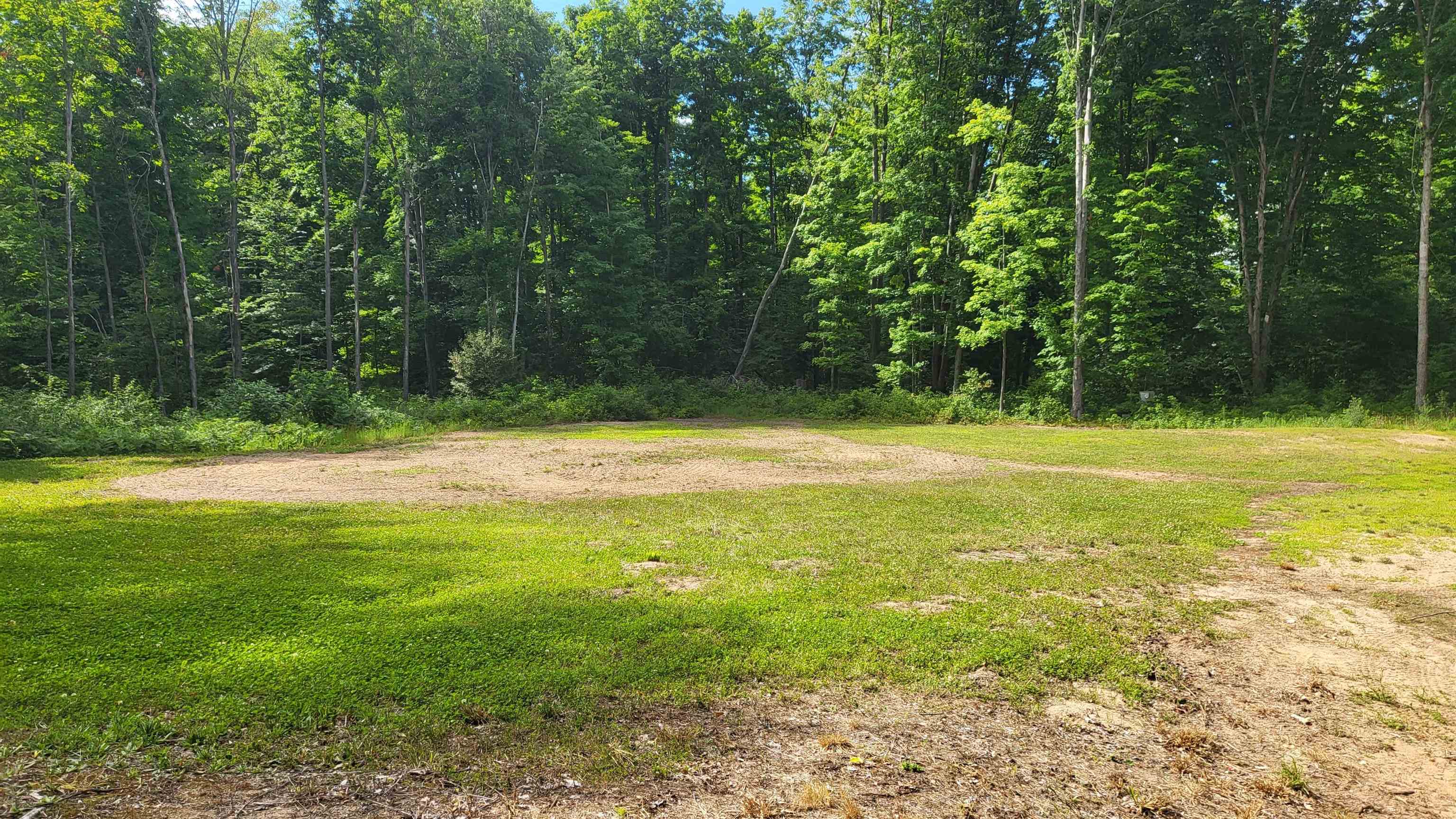 10389 West Four Road Mesick, MI 49668 - Photo 5 of 24 Gallery Image 5