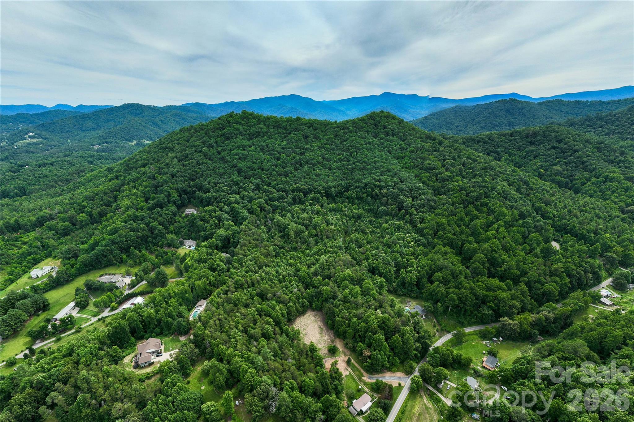 9999 Morgan Branch Road Weaverville, NC 28787 - Photo 16 of 24