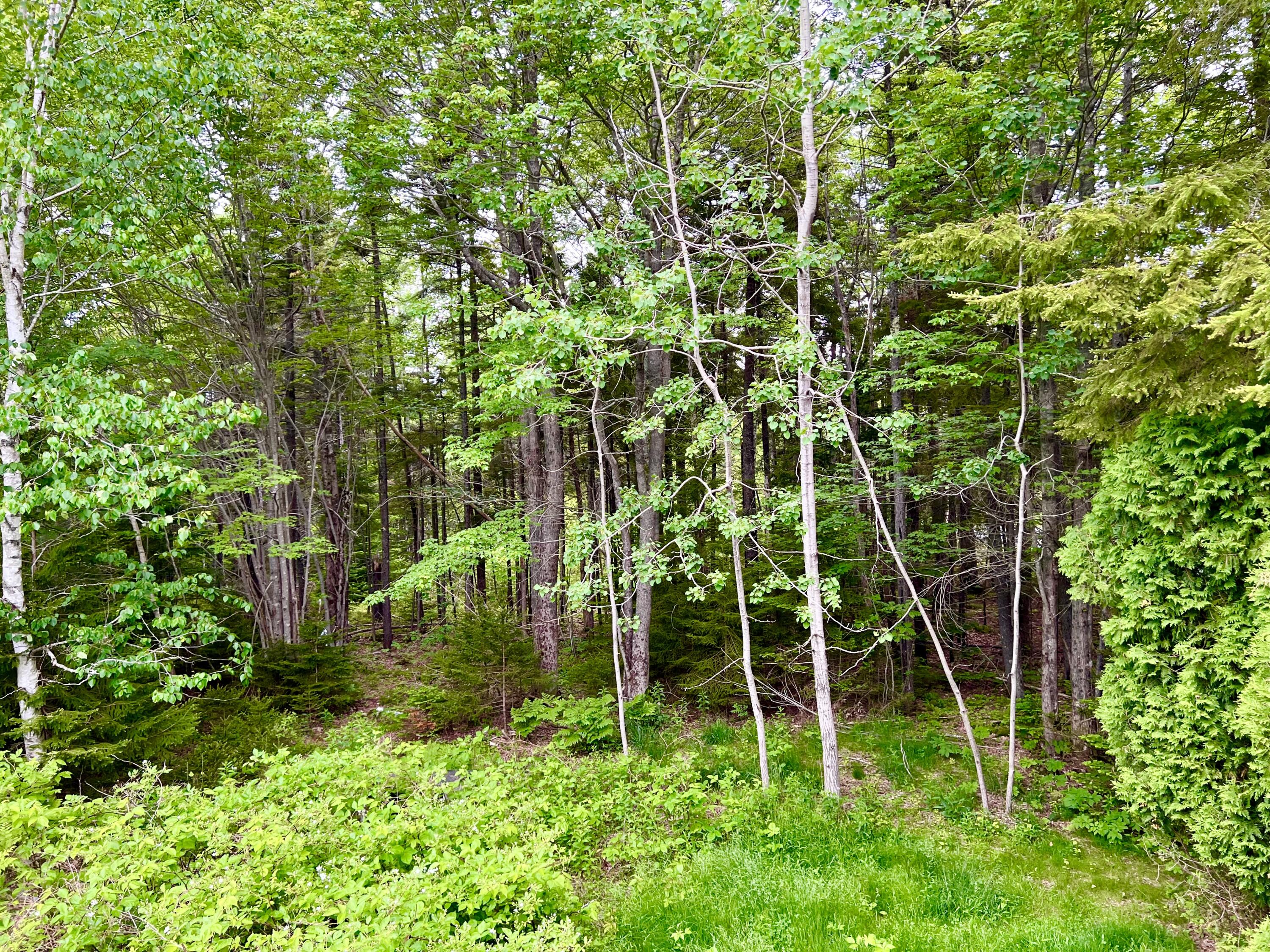 3 Elmers Way Bernard, ME 04612 - Photo 14 of 23 4 Acres