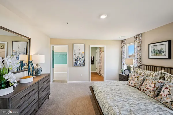 a spacious bedroom with a bed and a dresser in it