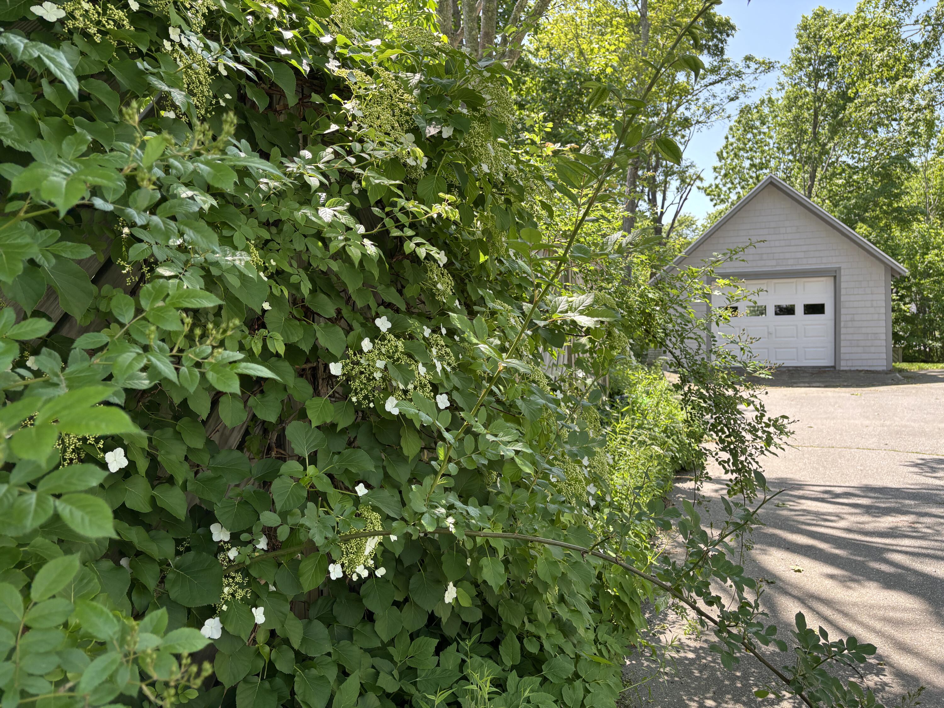 8 Sterling Street Ellsworth, ME 04605 - Photo 53 of 68 IMG_6357