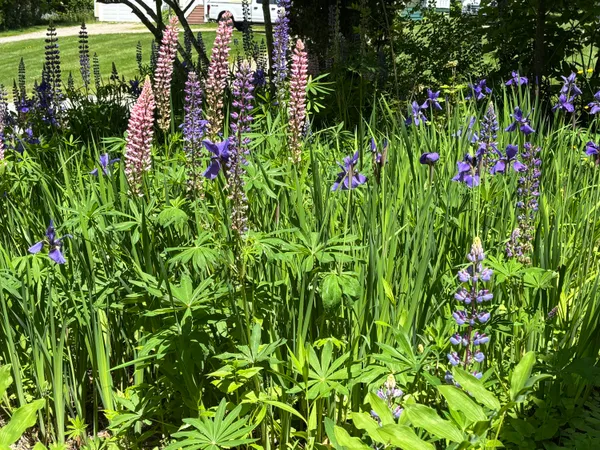 $499,000 | 8 Sterling Street, Ellsworth, ME 04605