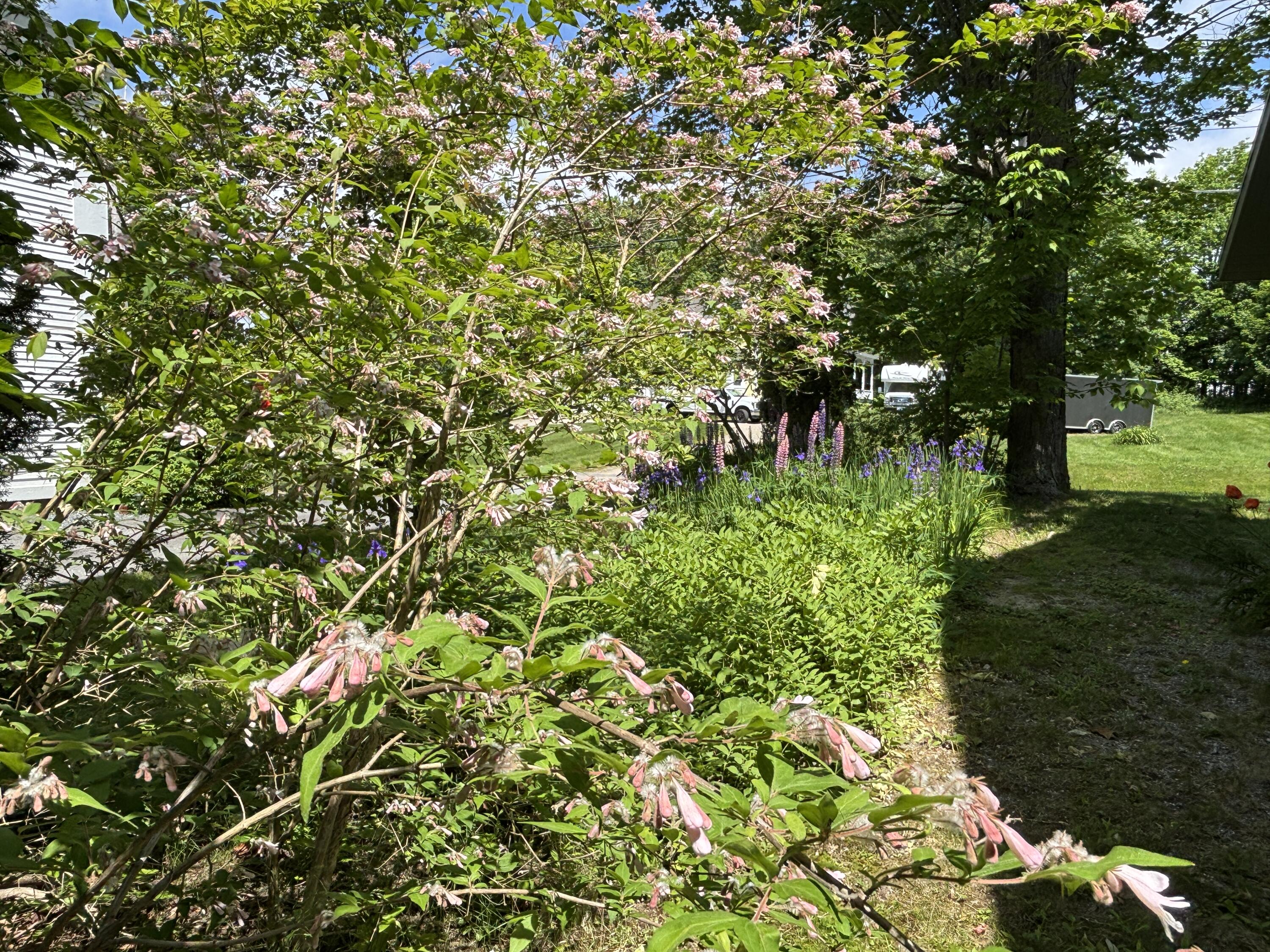 8 Sterling Street Ellsworth, ME 04605 - Photo 57 of 68 IMG_6352