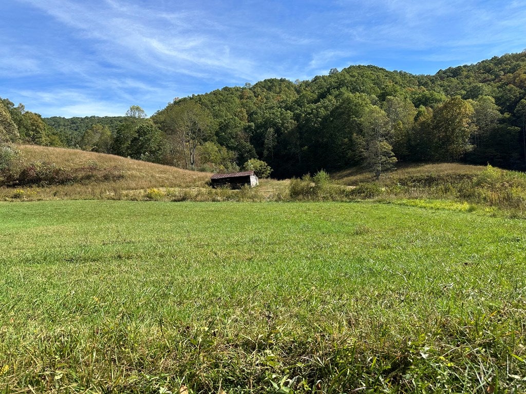 290 Dillon Creek Road Beckley, WV 25801 - Photo 41 of 88 Gallery Image 41