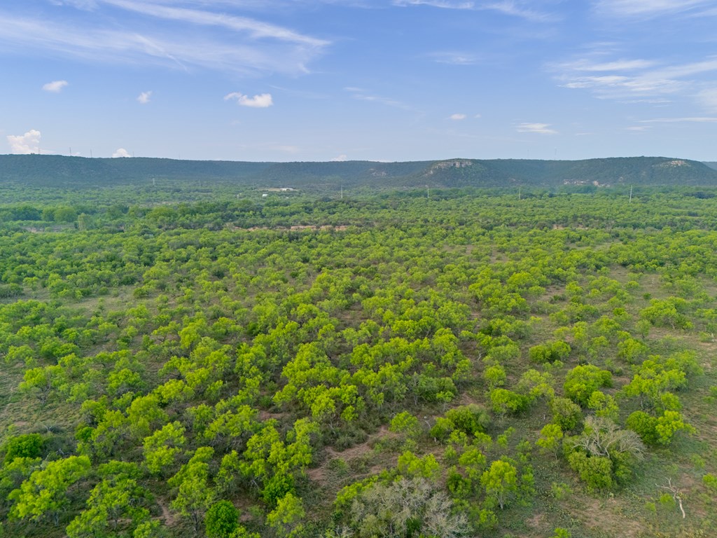 255 Vista Ridge Dr Junction Junction, TX 76849 - Photo 12 of 76