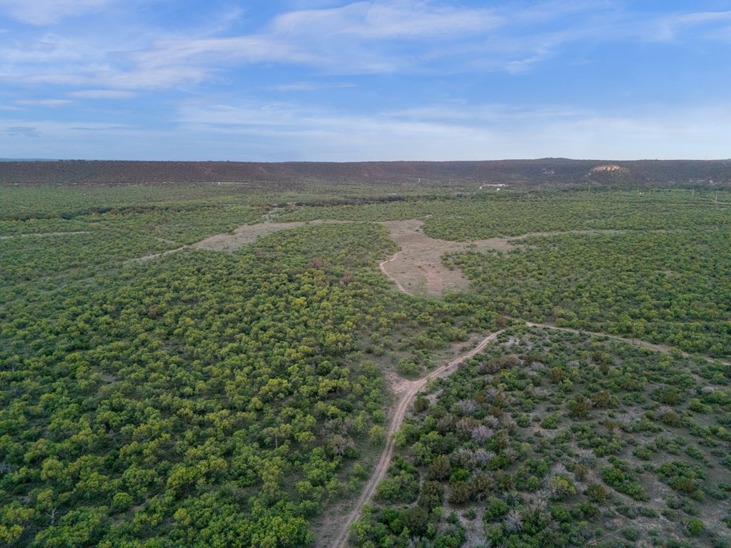 255 Vista Ridge Dr Junction Junction, TX 76849 - Photo 9 of 76