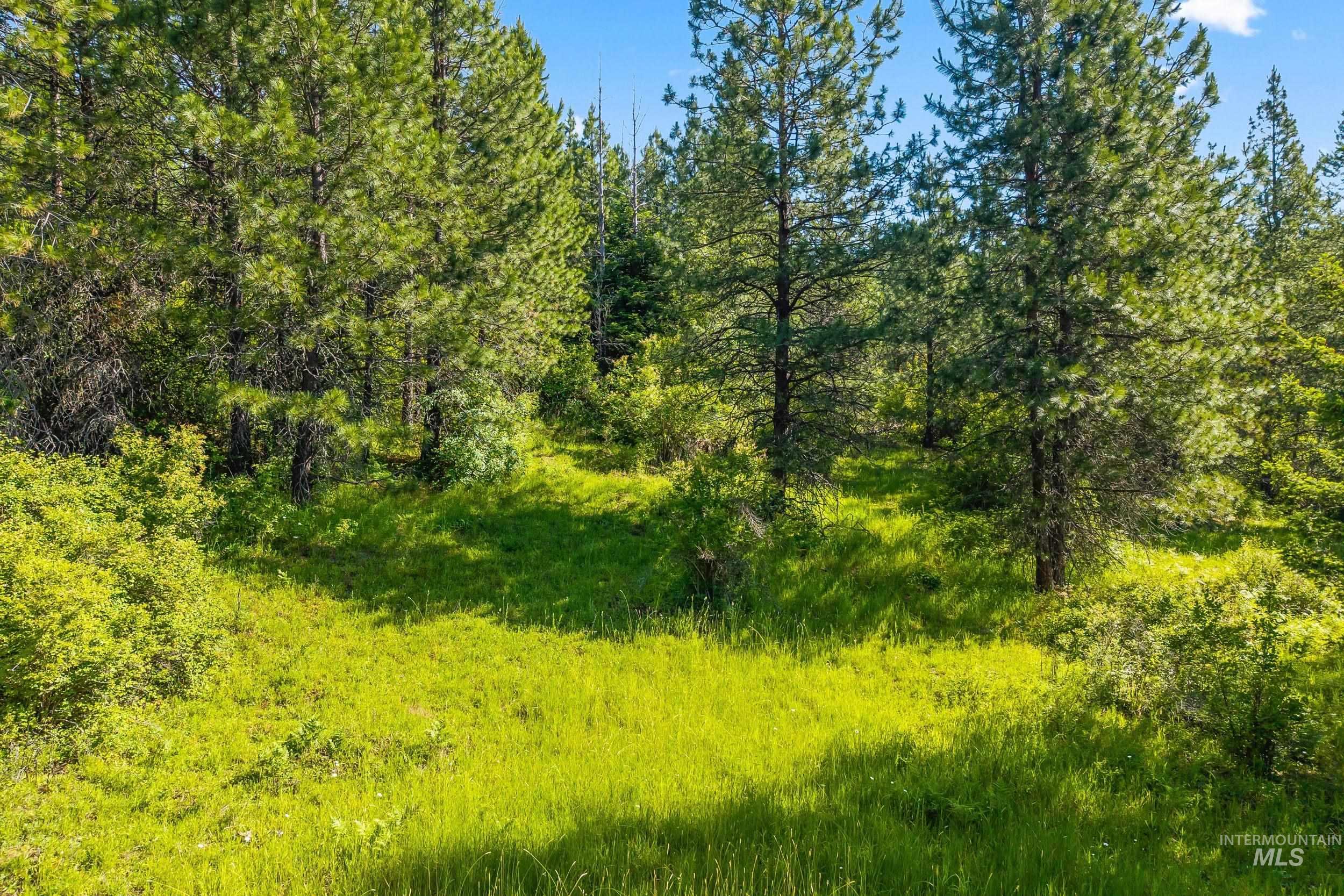 Abc Abc Gold Cup Road Priest River, ID 83856 - Photo 20 of 24