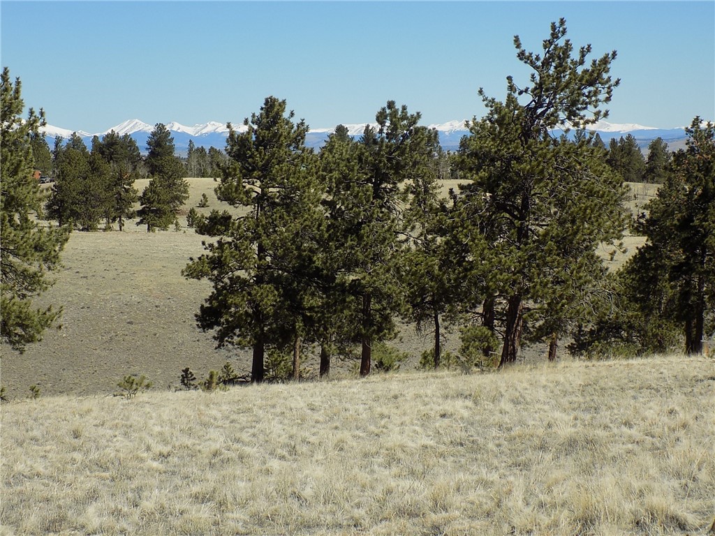 10617 Ranch Road Hartsel, CO 80449 - Photo 5 of 7 Gallery Image 5