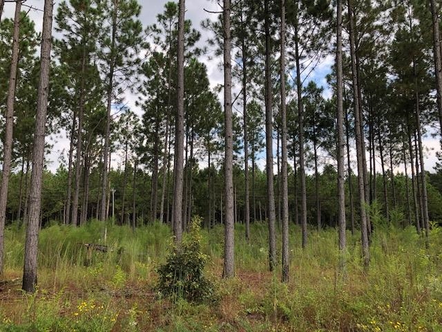 0 Barlow Road Cochran, GA 31014 - Photo 17 of 21