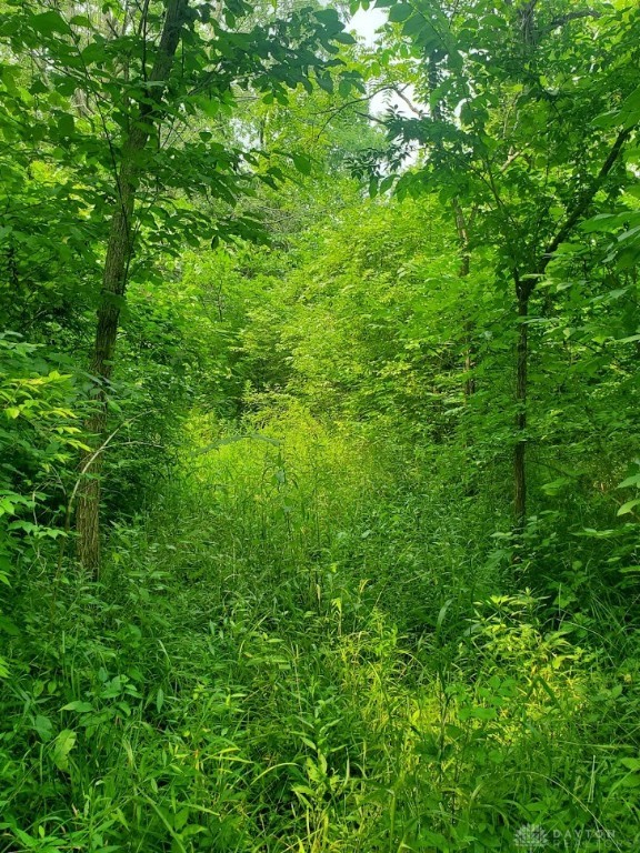 . Johnston Road Sidney, OH 45365 - Photo 1 of 11 Make a trail for 4 wheelers?