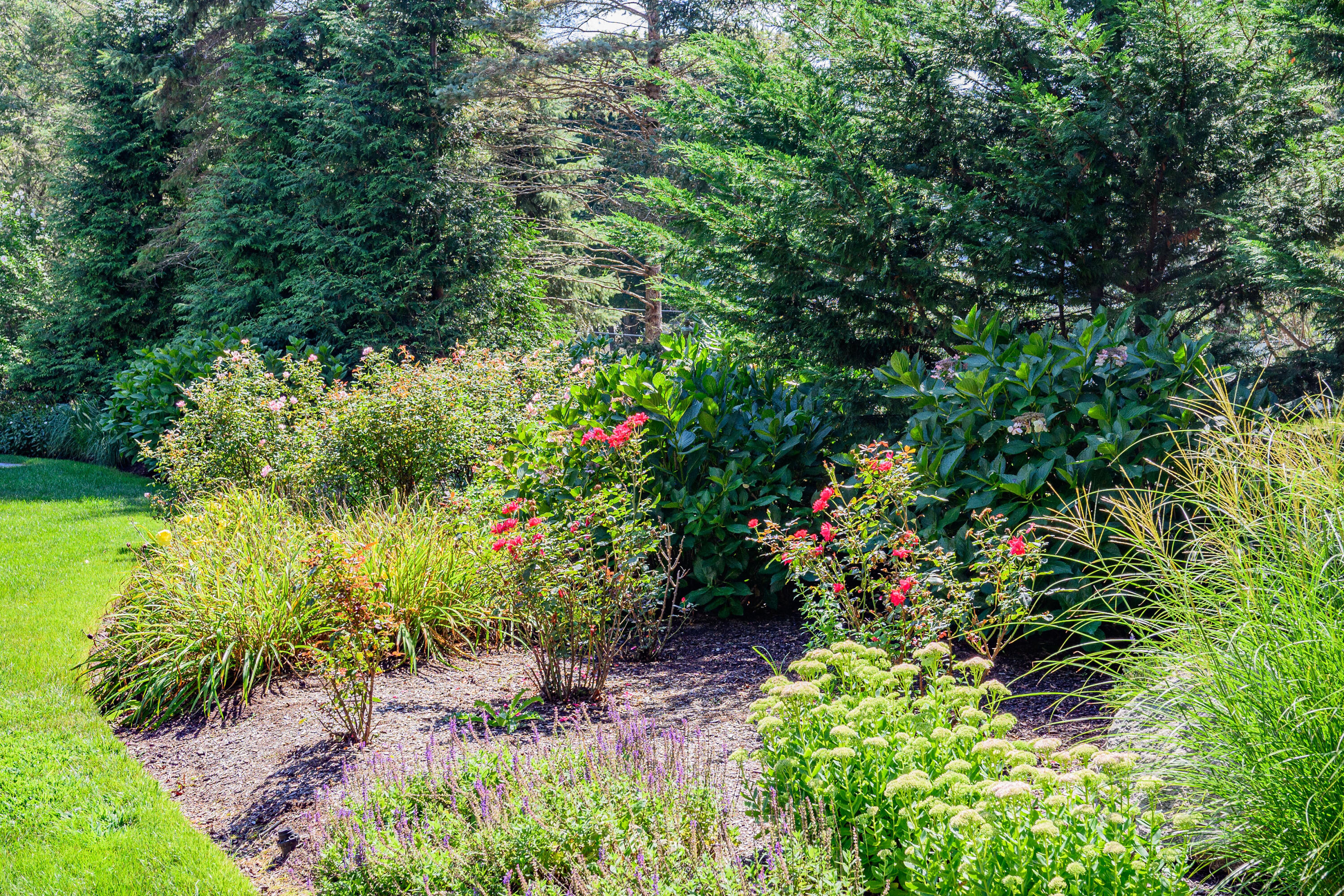55 Seapuit Road Osterville, MA 02655 - Photo 51 of 62 Garden