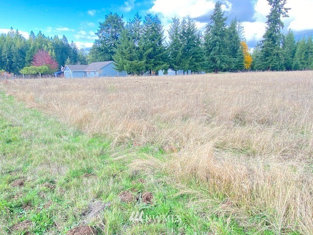 425 Antrim (lot 2) Road Winlock, WA 98596 - Photo 1 of 14 a view of a yard and tree s